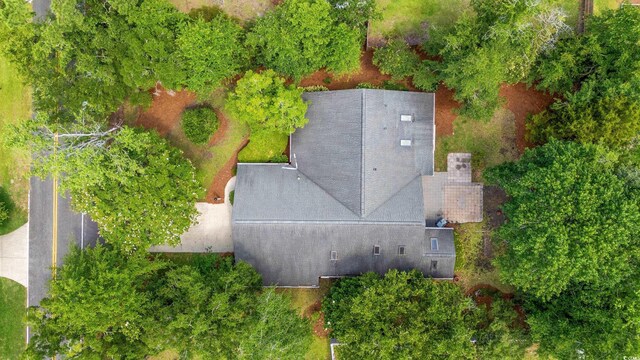 149 Old Cedar Loop, Pawleys Island, SC 29585 - view of subject property