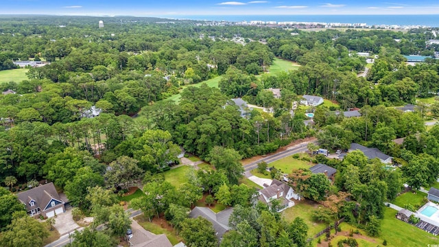 149 Old Cedar Loop, Pawleys Island, SC 29585 - aerial overview of property's location with a heavily wooded area and nearby suburban area
