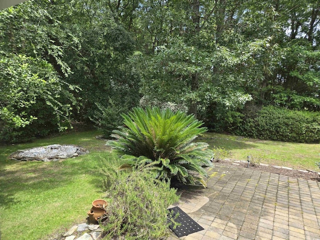 6542 Wellington Dr, Murrells Inlet, SC 29576 - view of green lawn featuring a patio area
