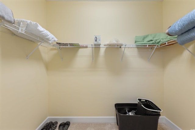 100 Culpepper Way Unit 1003, Myrtle Beach, SC 29579 - walk in closet featuring carpet floors