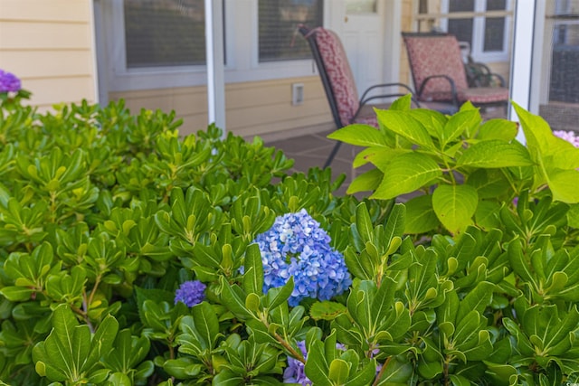 100 Culpepper Way Unit 1003, Myrtle Beach, SC 29579 - exterior view