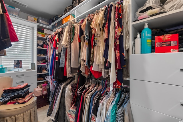 1078 Saltgrass Way, Myrtle Beach, SC 29588 - view of walk in closet