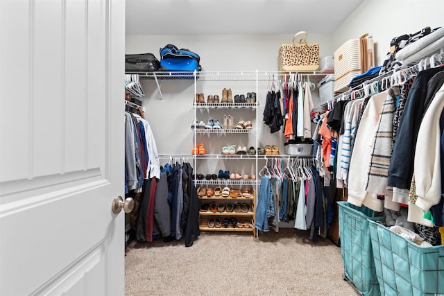 3617 Pasture Rd, Aynor, SC 29511 - spacious closet featuring carpet flooring