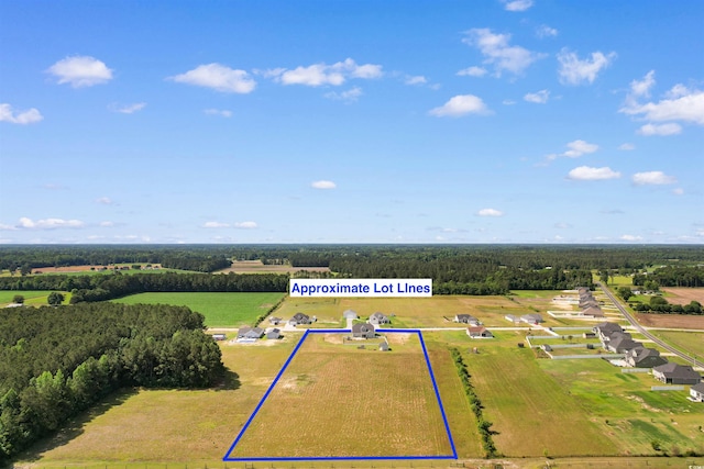 3617 Pasture Rd, Aynor, SC 29511 - aerial view of sparsely populated area featuring property parcel outlined
