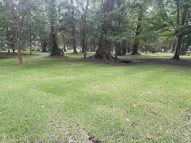 401 Harmon Park Blvd, Marion, SC 29571 - photo 36