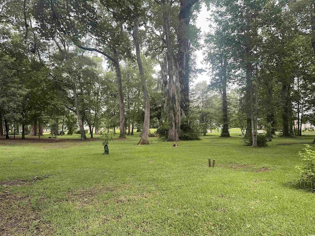 401 Harmon Park Blvd, Marion, SC 29571 - photo 35