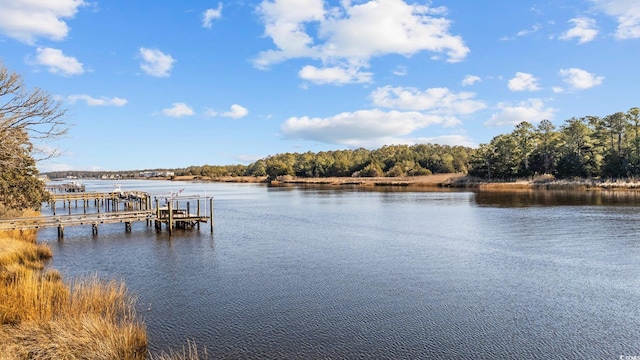 4552 River Rd, Little River, SC 29566 - dock area featuring a water view