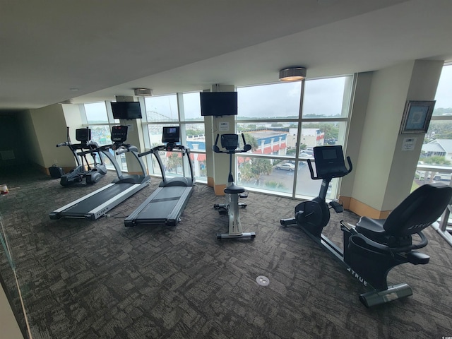 201 S Ocean Blvd Unit 205, Myrtle Beach, SC 29577 - exercise room featuring plenty of natural light and carpet floors