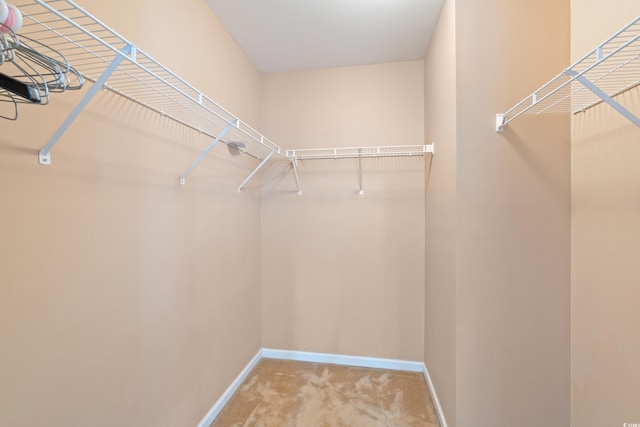 1654 Low Country Pl Unit C, Myrtle Beach, SC 29577 - spacious closet featuring carpet flooring