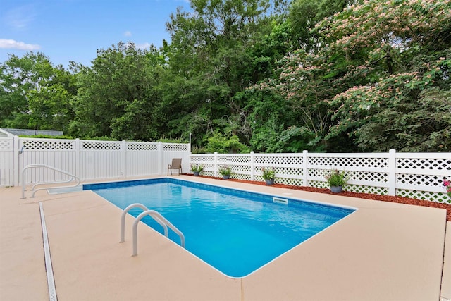 556 Crusade Cir, Conway, SC 29526 - view of swimming pool featuring a patio area and view of wooded area