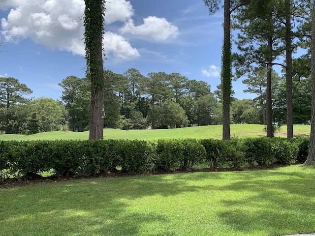9614 Indigo Creek Blvd, Murrells Inlet, SC 29576 - photo 30