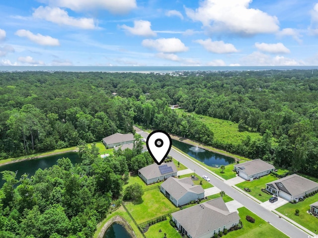 124 Castaway Key Dr, Pawleys Island, SC 29585 - bird's eye view of a heavily wooded area and a large body of water