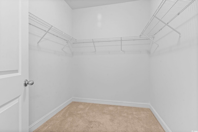 124 Castaway Key Dr, Pawleys Island, SC 29585 - walk in closet featuring carpet