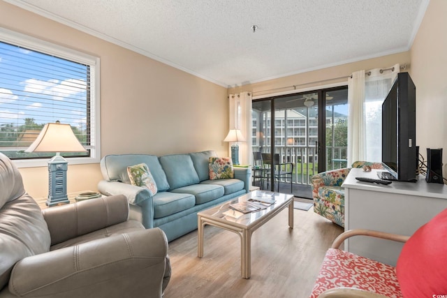 305 Hillside Dr N Unit 205, North Myrtle Beach, SC 29582 - living room with a textured ceiling, wood finished floors, and ornamental molding