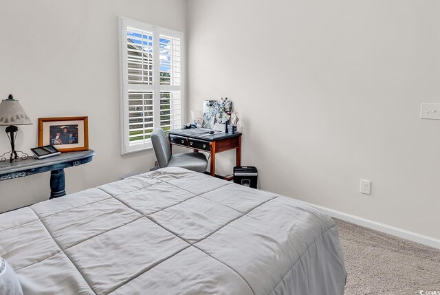 136 Crabapple Dr, Longs, SC 29568 - photo 10