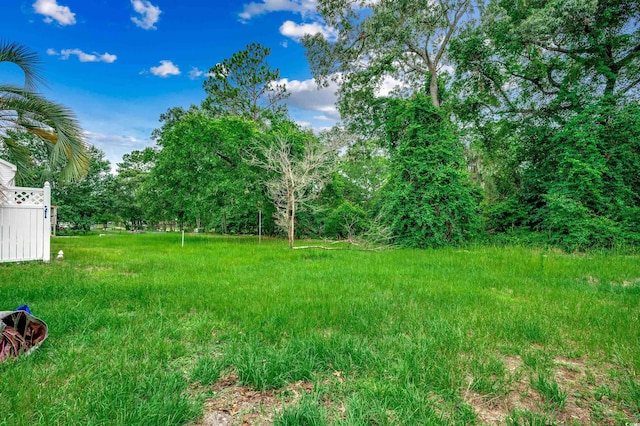 391 William Nobles Rd, Aynor, SC 29511 - photo 32