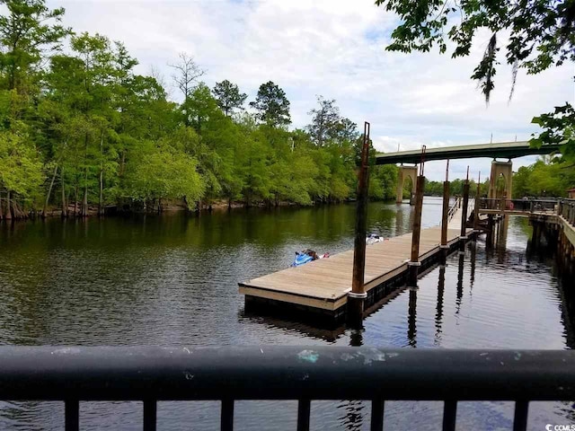 203 Old Hickory Dr, Conway, SC 29526 - photo 36