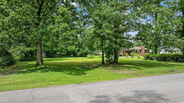 300 Crescent Dr, Conway, SC 29526 - view of grassy yard