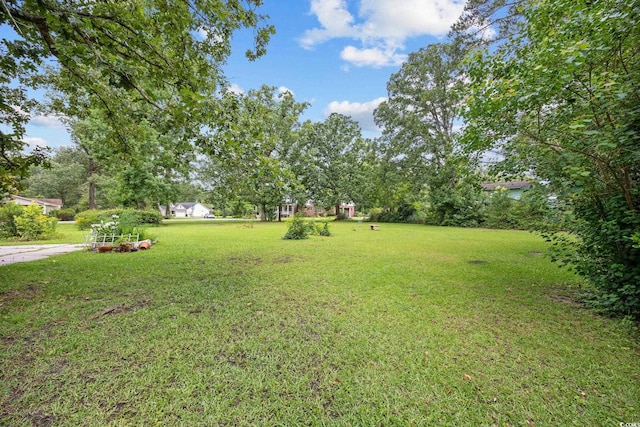 300 Crescent Dr, Conway, SC 29526 - view of green lawn
