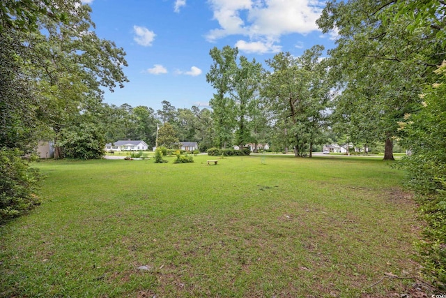 300 Crescent Dr, Conway, SC 29526 - view of green lawn