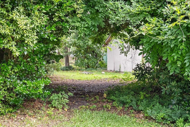 300 Crescent Dr, Conway, SC 29526 - view of yard