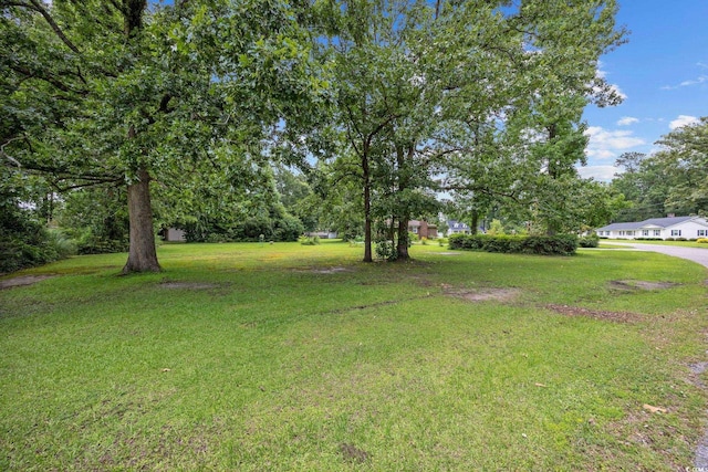 300 Crescent Dr, Conway, SC 29526 - view of grassy yard