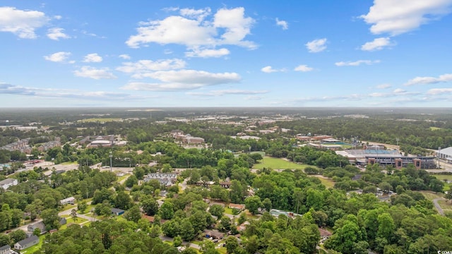 615 Carter Ln Unit D6, Conway, SC 29526 - bird's eye view