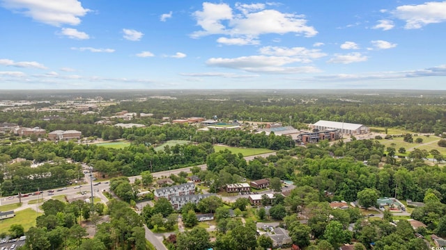 615 Carter Ln Unit D6, Conway, SC 29526 - drone / aerial view