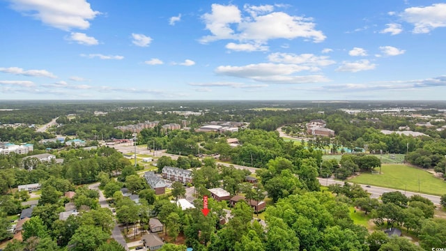 615 Carter Ln Unit D6, Conway, SC 29526 - drone / aerial view of a tree filled landscape