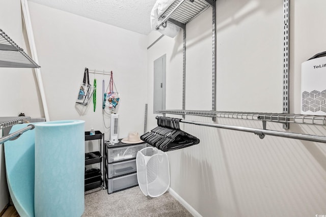 615 Carter Ln Unit D6, Conway, SC 29526 - walk in closet featuring electric panel and carpet
