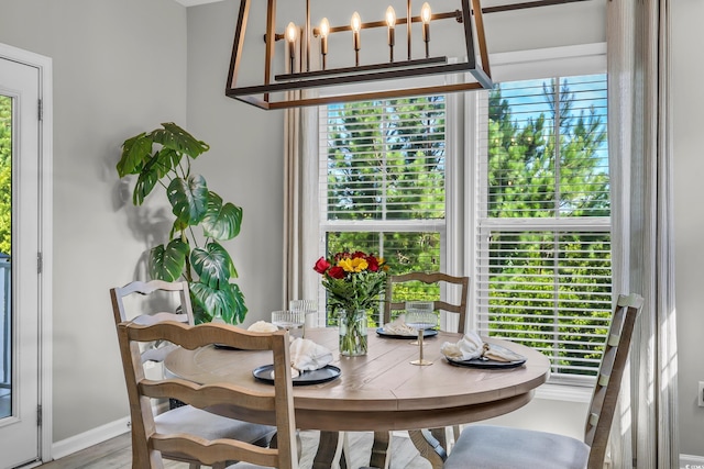305 Splendor Cir, Murrells Inlet, SC 29576 - dining room featuring plenty of natural light, a chandelier, and wood finished floors