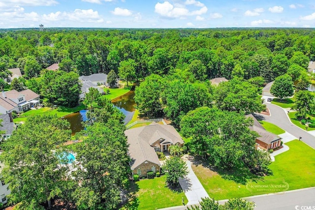 4499 Firethorne Dr, Murrells Inlet, SC 29576 - aerial view of a forest and a large body of water