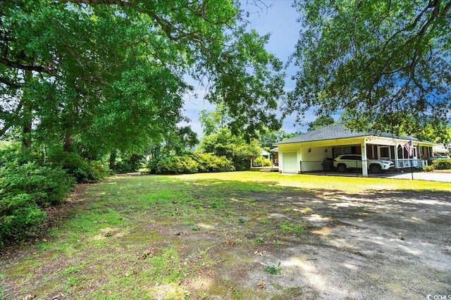 1008 N Withlacoochee Ave, Marion, SC 29571 - view of green lawn
