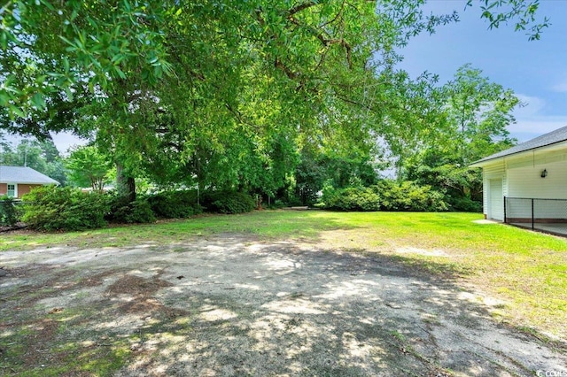1008 N Withlacoochee Ave, Marion, SC 29571 - view of yard