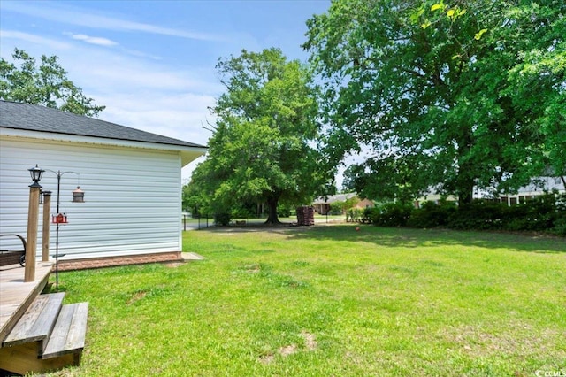 1008 N Withlacoochee Ave, Marion, SC 29571 - view of green lawn