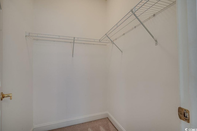 5046 Belleglen Ct Unit 202, Myrtle Beach, SC 29579 - walk in closet featuring light colored carpet