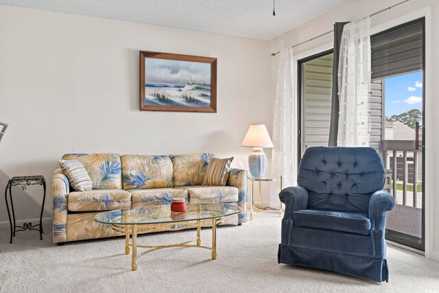 500 Fairway Village Dr Unit J-7, Myrtle Beach, SC 29588 - living area with carpet and a textured ceiling