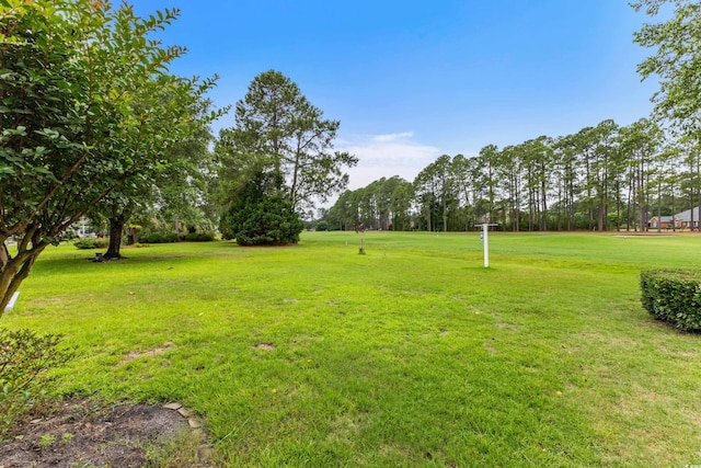 583 Wildflower Trl, Myrtle Beach, SC 29579 - view of grassy yard with view of scattered trees