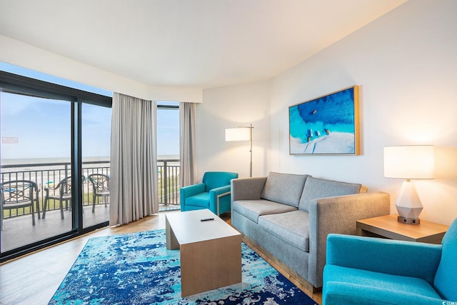 3000 N Ocean Blvd Unit 209, Myrtle Beach, SC 29577 - living room featuring wood finished floors and a water view