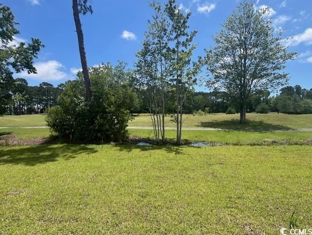 9728 Indigo Creek Blvd, Murrells Inlet, SC 29576 - view of grassy yard