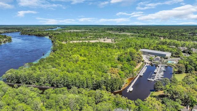 179 Cottage Ct, Pawleys Island, SC 29585 - bird's eye view of a forest and a large body of water