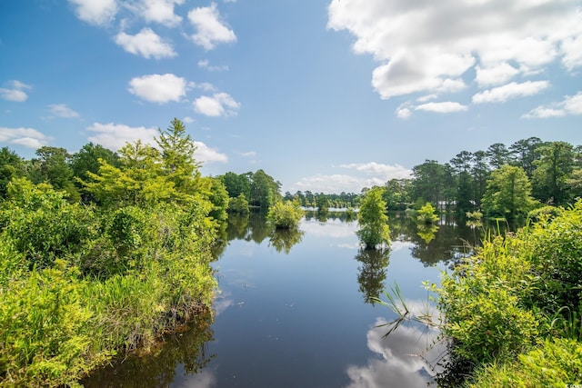 66 Johnstone Ln, Georgetown, SC 29440 - photo 37