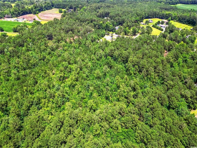 TBD Little Bethel Rd, Green Sea, SC 29545