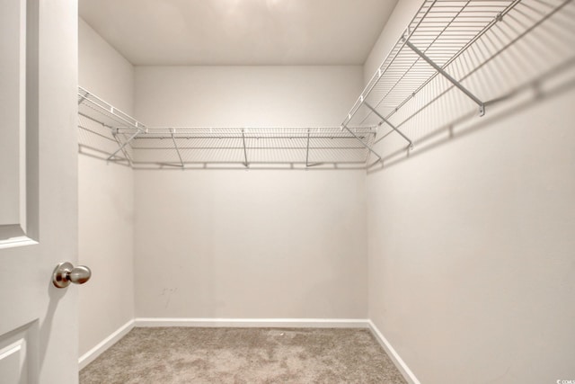 211 Seasons Trace Loop, Longs, SC 29568 - spacious closet with carpet