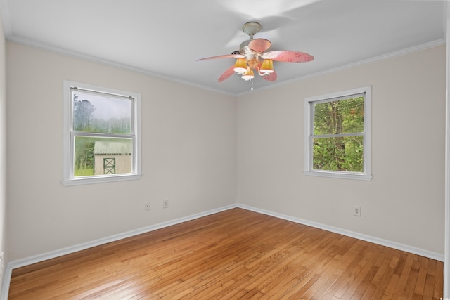 3534 Nichols Hwy, Galivants Ferry, SC 29544 - photo 14