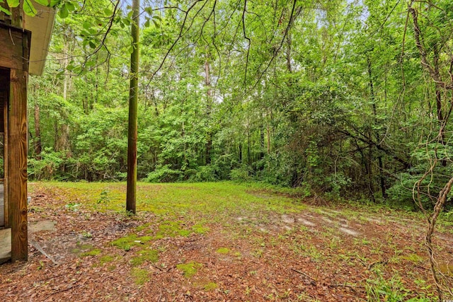 3534 Nichols Hwy, Galivants Ferry, SC 29544 - photo 31