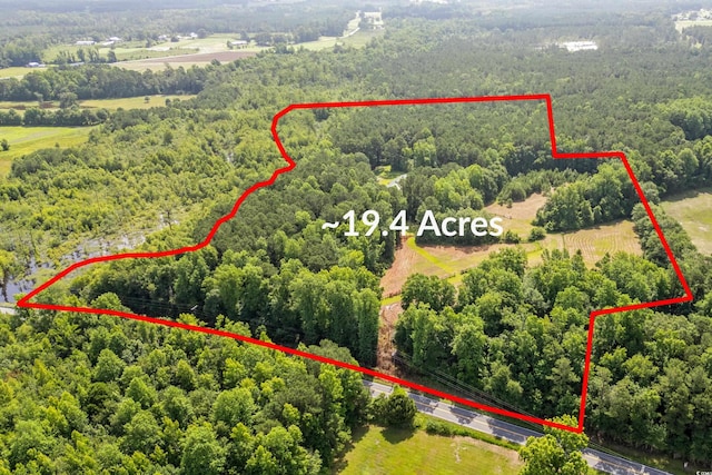 3534 Nichols Hwy, Galivants Ferry, SC 29544 - photo 36