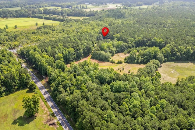 3534 Nichols Hwy, Galivants Ferry, SC 29544 - photo 37