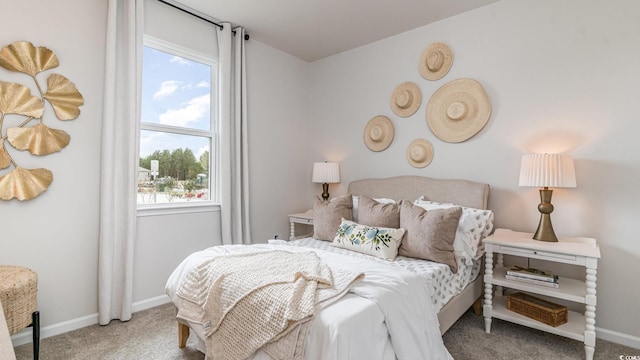 1407 Nokota Dr, Conway, SC 29526 - carpeted bedroom featuring multiple windows
