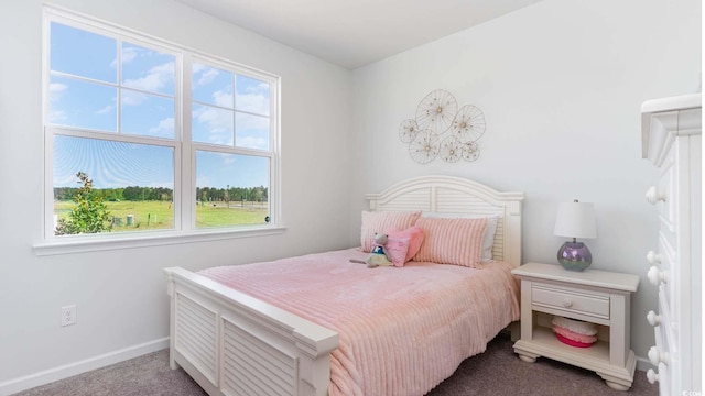 3550 Ashridge Way, Conway, SC 29526 - bedroom with carpet flooring and multiple windows